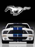 Caballo del Ford Mustang