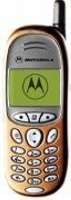 Motorola T191