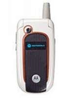 Motorola V501