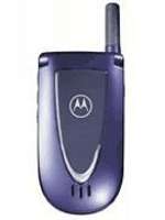 Motorola V66i