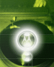 Motorola Logo