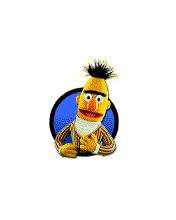 Bert