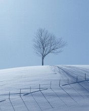 Nieve en una loma