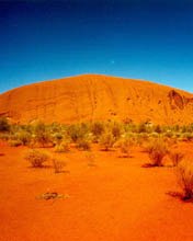 Fondo para celular de un desierto