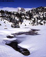 Un paisaje invernal 